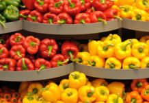 Sagra del peperone di Carmagnola 1072 0 peperone carmagnola_ok